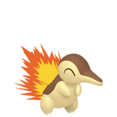 Shiny Cyndaquil - Pokestar